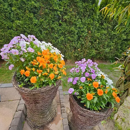 Dom Caloroczny Tomek