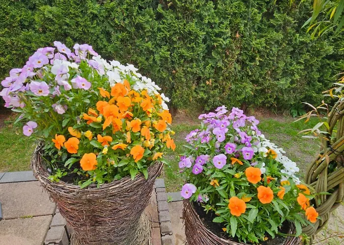 Dom Caloroczny Tomek