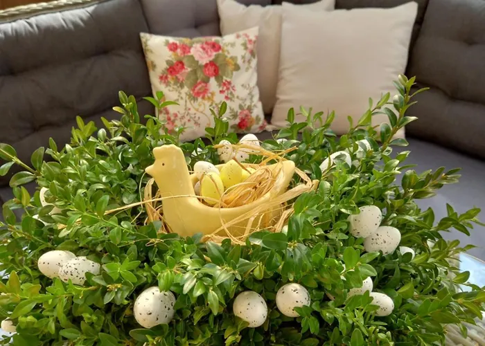 Dom Caloroczny Tomek Apartamento *